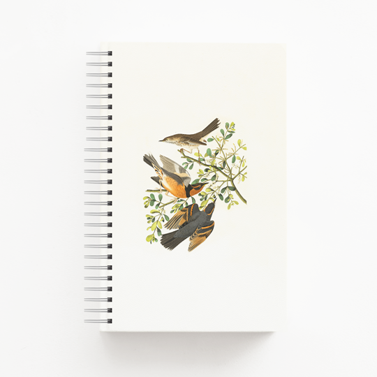 Audobon's Orpheus Spiral Notebook